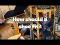 How Should a Shoe Fit