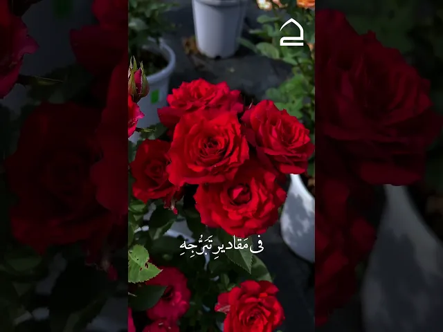 ⁣#دعاء_الصباح |الحاج علي الكعبي| اَللّهُمَّ يا مَنْ دَلَعَ لِسَانَ الصَّبَاحِ بِنُطْقِ تَبَلُّجِهِ