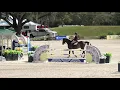 King Vendi Melanie McJannet 1 20m HITS Ocala 2020