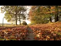 These Day - Gray Connors (Lyrics Video)(Concept)