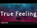 TRUE FEELING - GALANTIS - LYRICS - Letra e Tradução