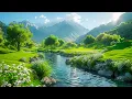 Download Lagu Nomierinoša mūzika nerviem - Dziedinoša mūzika sirdij un asinsvadiem, relaksācija, mūzika dvēselei