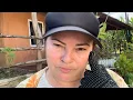 Download Lagu OLHA A COLHEITA QUE TIVE AQUI NA CHÁCARA + TRABALHO PESADO