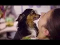 Banfield Pet Hospital Ask a Vet - Why Does My Dog Eat Feces
