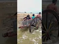 Bullock cart/ (மாட்டு வண்டி)/கடலும் ஆறும் சங்கமிக்கும் இடம்/அண்ணன் தங்கையின் பாசப்பயணம்/Enjoy/Trip
