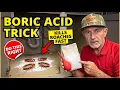 How To Use Boric Acid To KILL Every Roach The Right Way