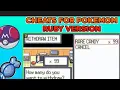 Cheats for Rare candy and master ball in Pokemon Ruby version