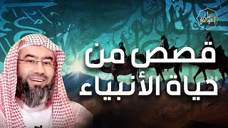 نبيل العوضي قصص الأنبياء قصص اولي العزم من الرسل ولماذا يطلق عليهم هذا الاسم 