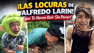 LAS LOCURAS DE ALFREDO LARIN QUE TE HACEN REÍR SIN PARAR - LA COMPILACIÓN MÁS DIVERTIDA!