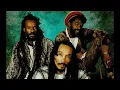 Israel Vibration - Lion In The Jungle & Leigh Dread's Dub Version