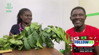 PROSTATE STOPS WITH THESE SIMPLE HERBS FROM DR AGYEIWAA 