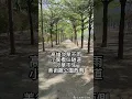 葉佳修 - 鄉間小路(動態歌詞)