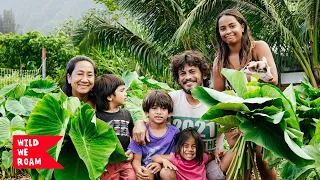 URGENT: Protect This Hawaiian Farm From Developers!