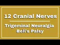 Download Lagu What are the 12 CRANIAL NERVES + COMMON DISORDERS in the exam? 🤔