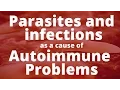 Download Lagu Parasites and other infections as a cause of Autoimmune Problems