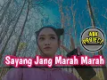 Download Lagu Sayang Jang Marah Marah ~Safira Inema