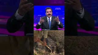 مام نیعمەت گوندێکی کوردستانی کردووە بە دارستانی ئەمازۆن 