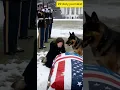 Download Lagu The Last Goodbye: K9 Loyalty at a Soldier’s Farewell | Emotional Military Tribute #shorts #loyalty