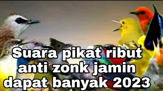 Download suara pikat semua jenis burung anti zonk dapat banyak##joss sahabat kicau MP3