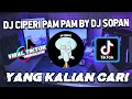 Download Lagu DJ CIPERI PAM PAM BY DJ SOPAN VIRAL TIKTOK JEDAG JEDUG FULLBASS