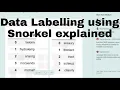 Data labeling using Snorkel using python