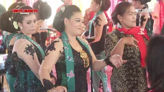 tayub kelangan slendang sutro kuning cahyo budoyo