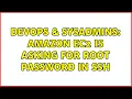 DevOps SysAdmins Amazon EC2 is asking for root password in SSH 3 Solutions