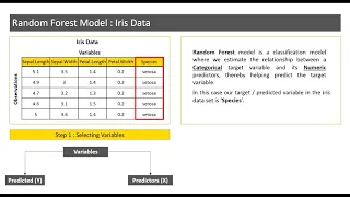 Random Forest Model - Iris Data