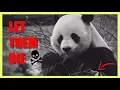 Should we let PANDAS go EXTINCT