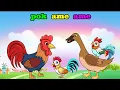 Download Lagu Pok Ame Ame Belakang Kupu-kupu Lagu Anak Anak Indonesia Populer