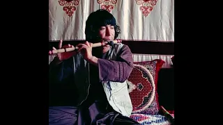 توله بسیار عالی از نور محمد فدایی 