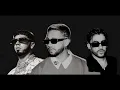 TUYO REMIX - Mora, Bad bunny, Anuel AA