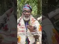 Download Lagu Why I Left America to Initiate into Ifa in Nigeria
