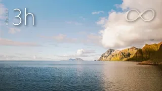 Happy Piano Music Uplifting Music Study Focus Music N 142 3h 