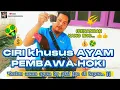 Download Lagu CIRI KHUSUS AYAM PEMBAWA HOKI( MENANGAN)#ayambangkokindonesia#ayam