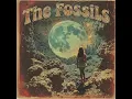 The Fossils 1969