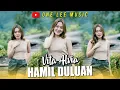 Download Lagu Vita Alvia - Hamil Duluan (DJ Remix)
