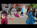 Download Lagu Poor Ali's wife is busy baking bread when Zahra, the evil devil, is bothering her and...