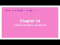 A Whirlwind Marriage with the Beautiful CEO Chapter 14