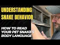 Understanding Snake Behavior How to Read Your Pet Snake s Body Language