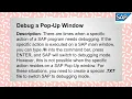 Debug POP up in SAP ABAP