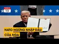 Download Lagu Ông Trump áp lệnh trừng phạt Nga. Zelensky dạy dỗ NATO cách đánh nhau.