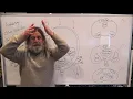 12 Human Behavioral Biology Limbic System 2 by Robert Sapolsky