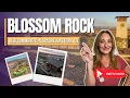 Moving to Apache Junction Explore Blossom Rock s New Home Community Melissa Bailey
