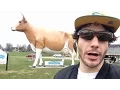 Overly Excited Tourist Discovers Green Bay s Hidden Treasures