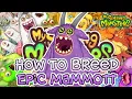 How To Breed Epic Mammott on EVERY Island My Singing Monsters
