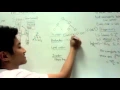 Trees and Binary Trees - Data Structures in 5 Minutes