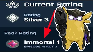 What a BOOSTED valorant player looks like