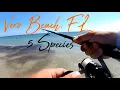 Beautiful Morning Fishing Vero Beach - 5 Species Caught on One Lure