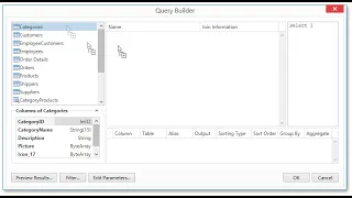 How to use the visual query builder in XAF